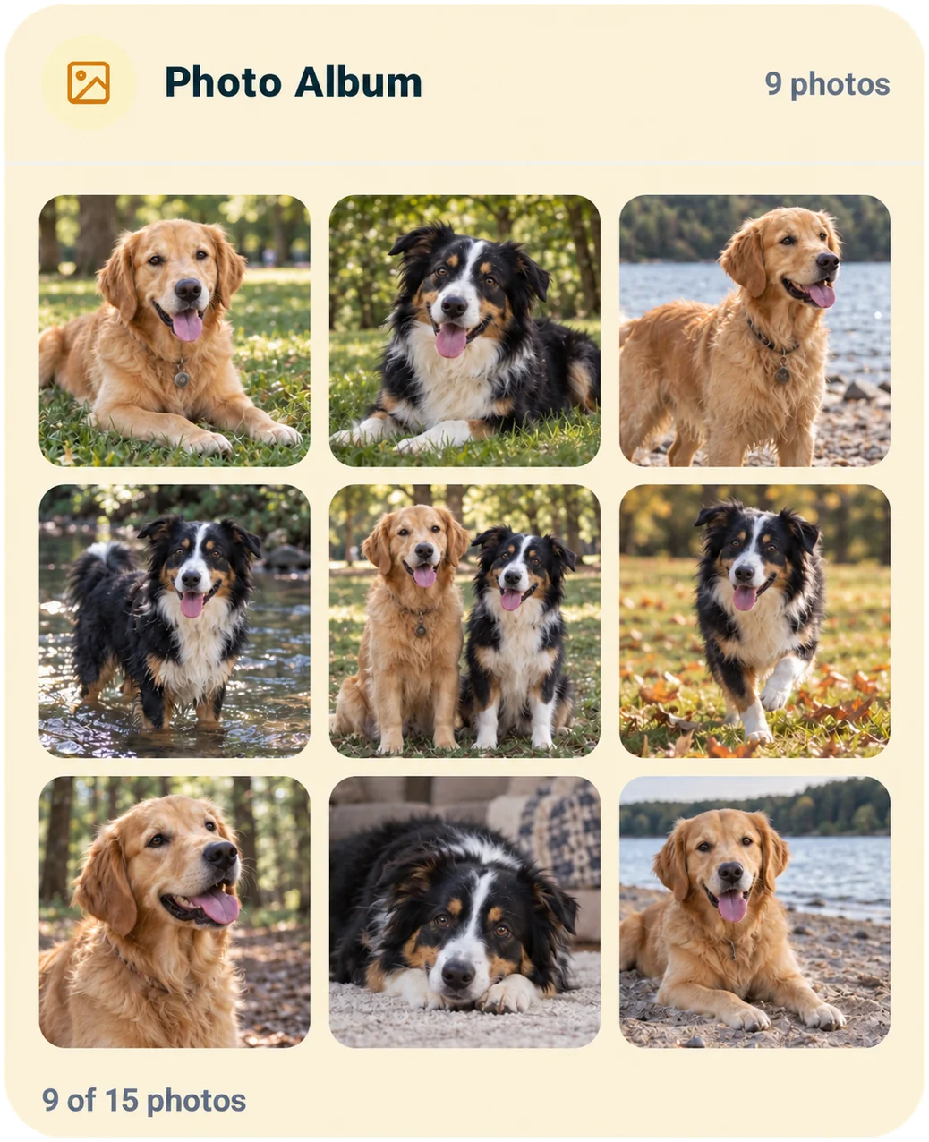 Susi's actual photo album on the Social and Photos page