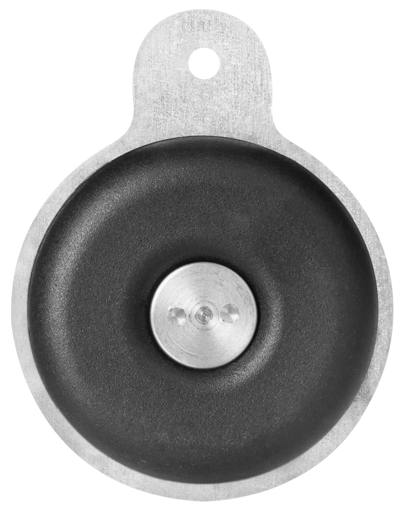 Taganize NFC dog tag, front